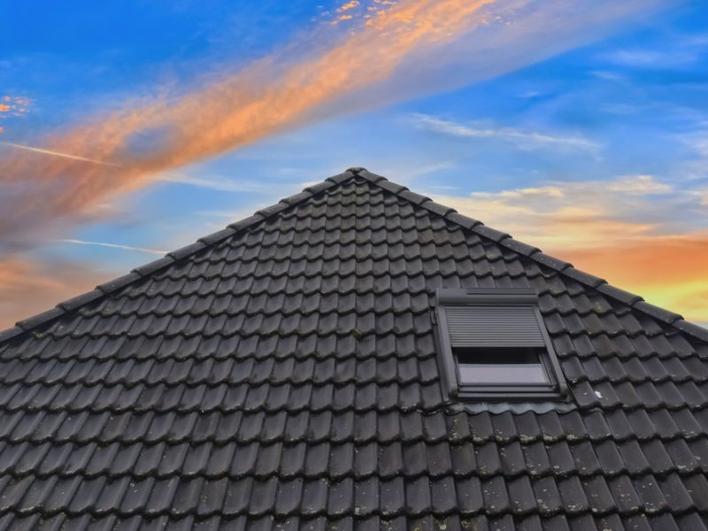 Roof,Of,A,Residential,Building,With,Windows,In,Velux,Style